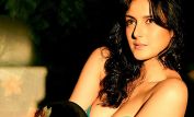 Tulip Joshi