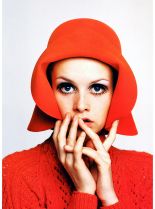 Twiggy