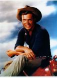 Ty Hardin