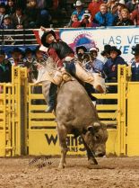 Ty Murray