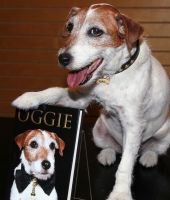 Uggie