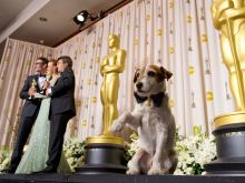 Uggie