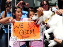 Uggie