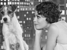Uggie