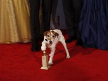 Uggie