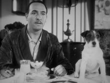 Uggie