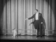 Uggie