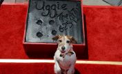 Uggie