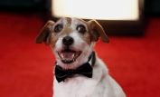 Uggie