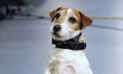 Uggie