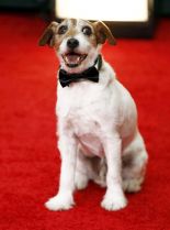 Uggie