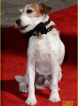 Uggie