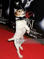 Uggie