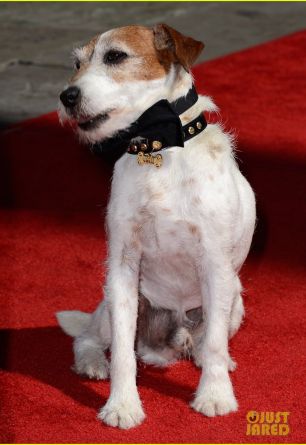 Uggie