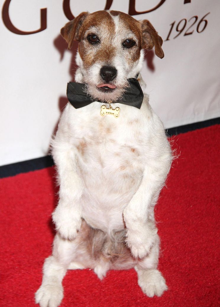 Uggie