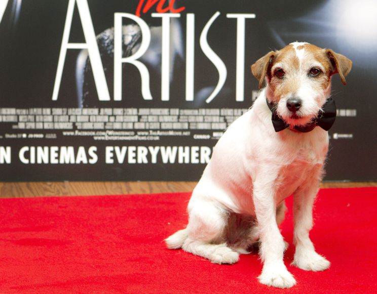 Uggie