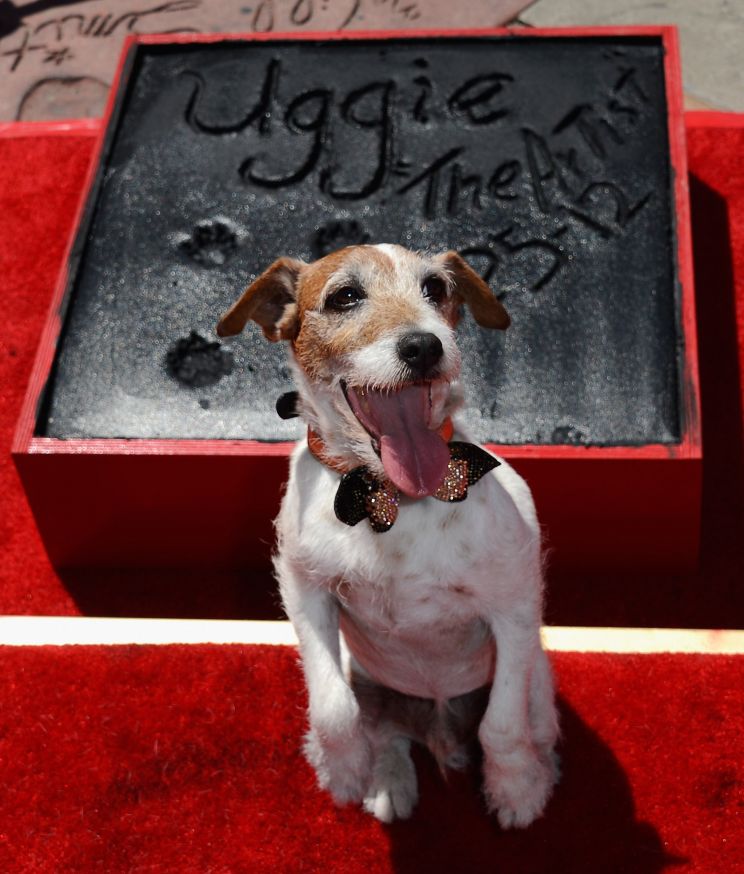 Uggie