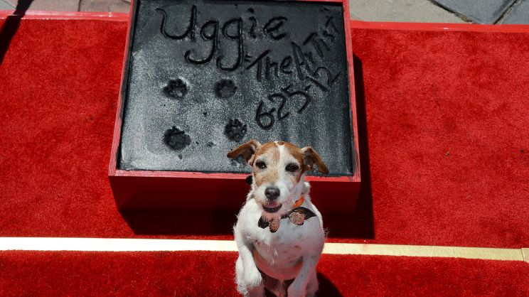 Uggie