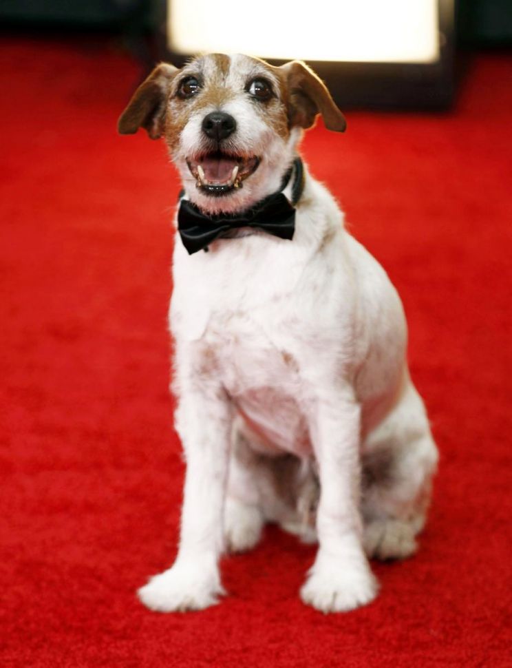 Uggie