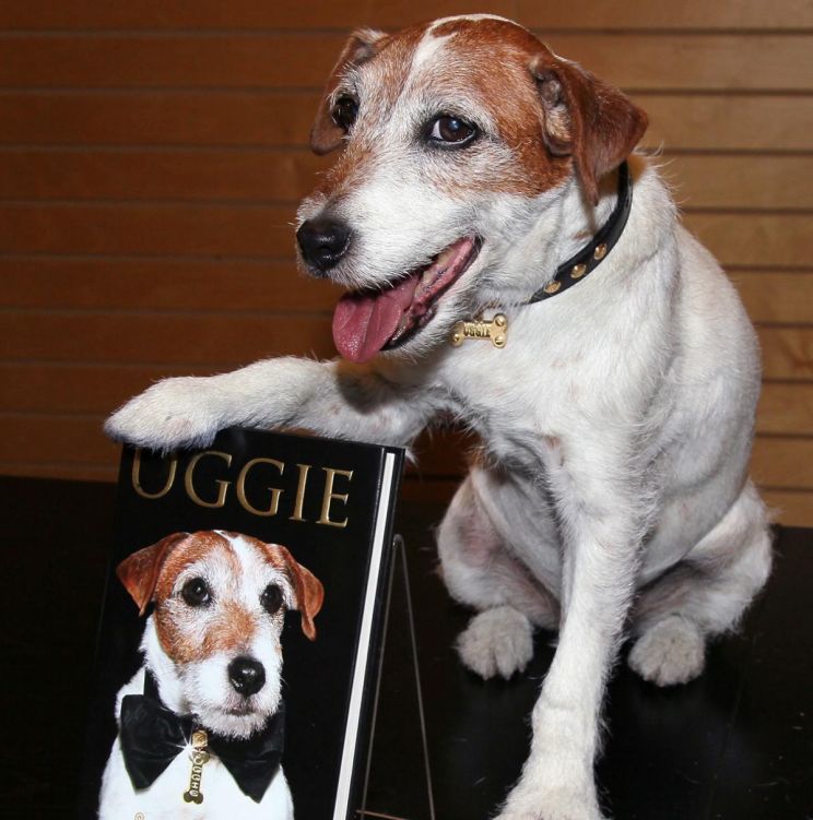 Uggie