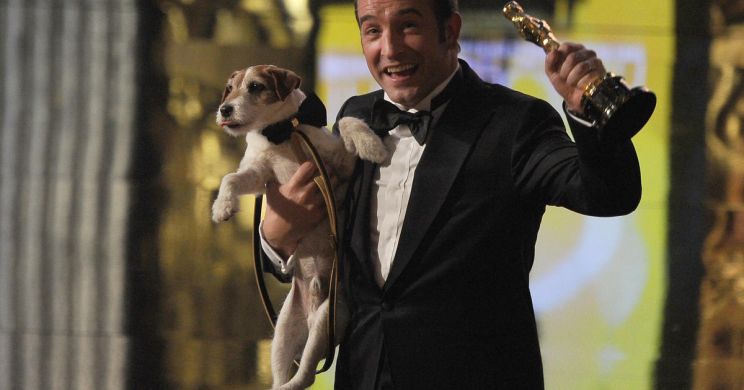 Uggie