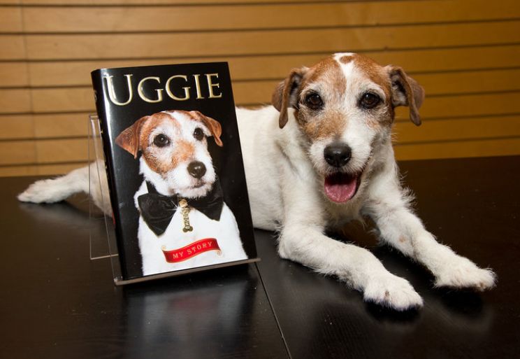 Uggie