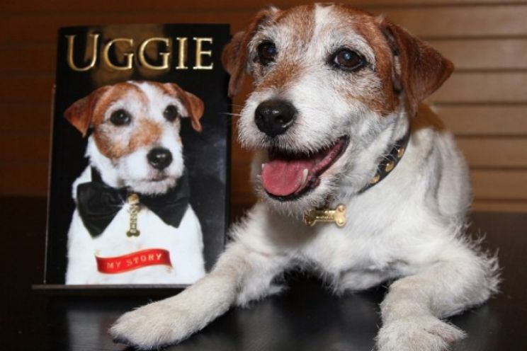 Uggie