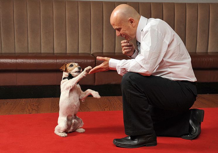 Uggie