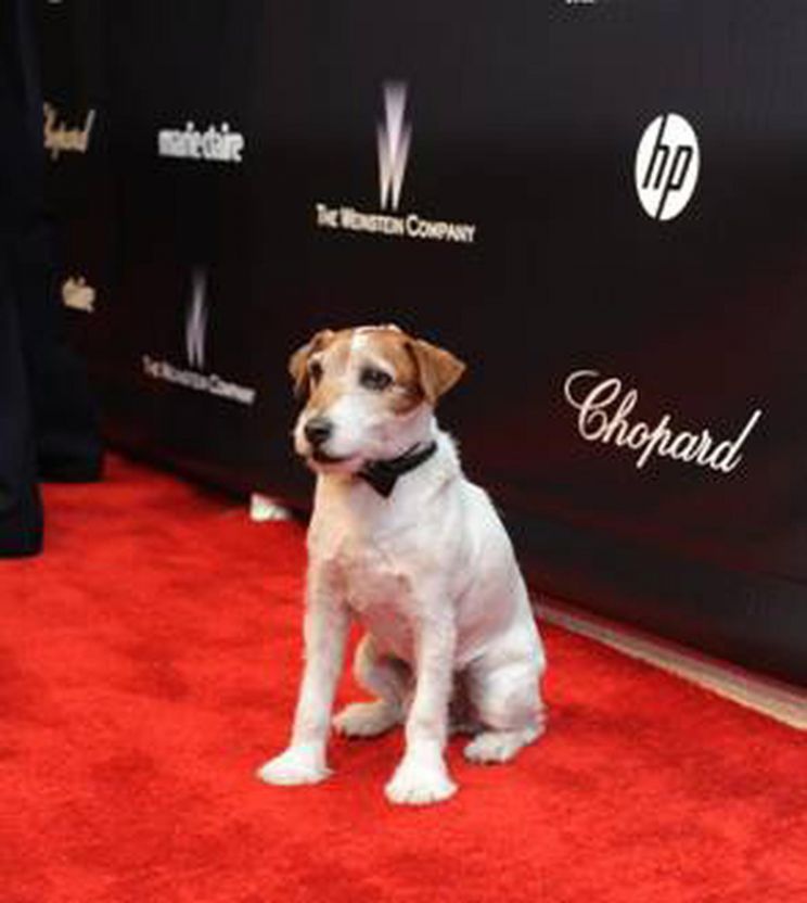 Uggie