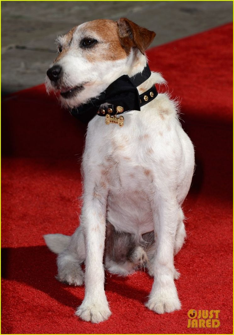 Uggie