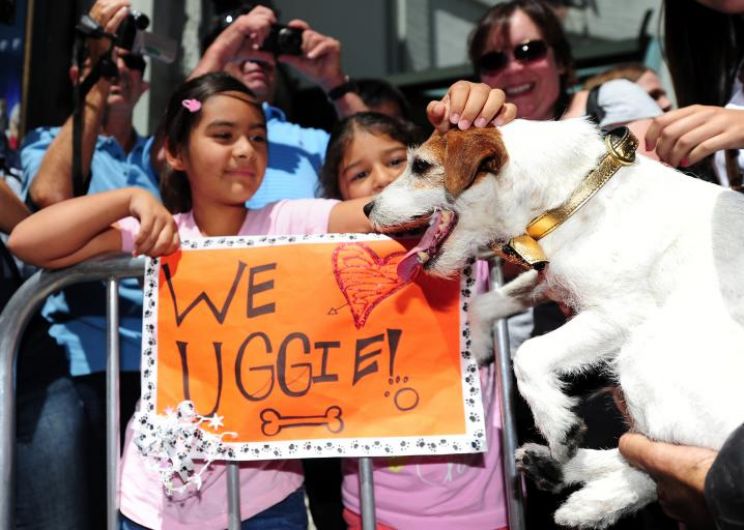 Uggie