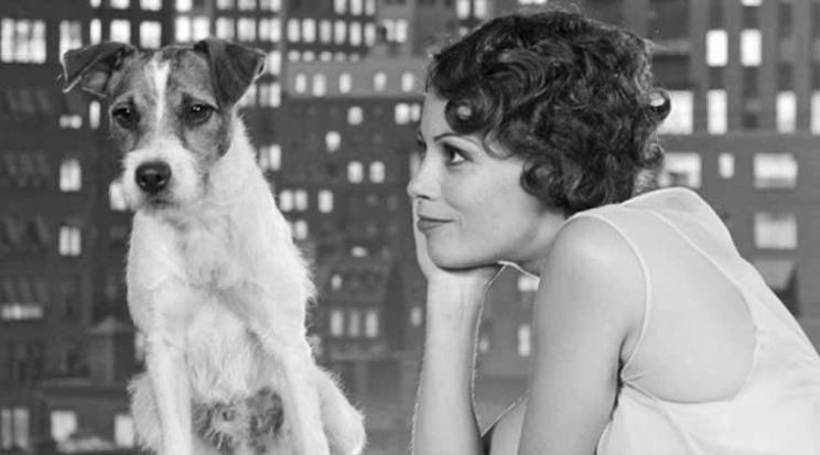 Uggie