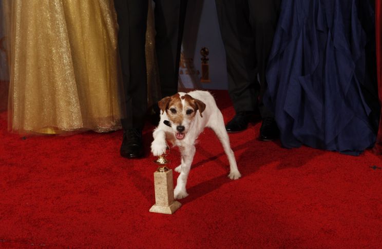 Uggie