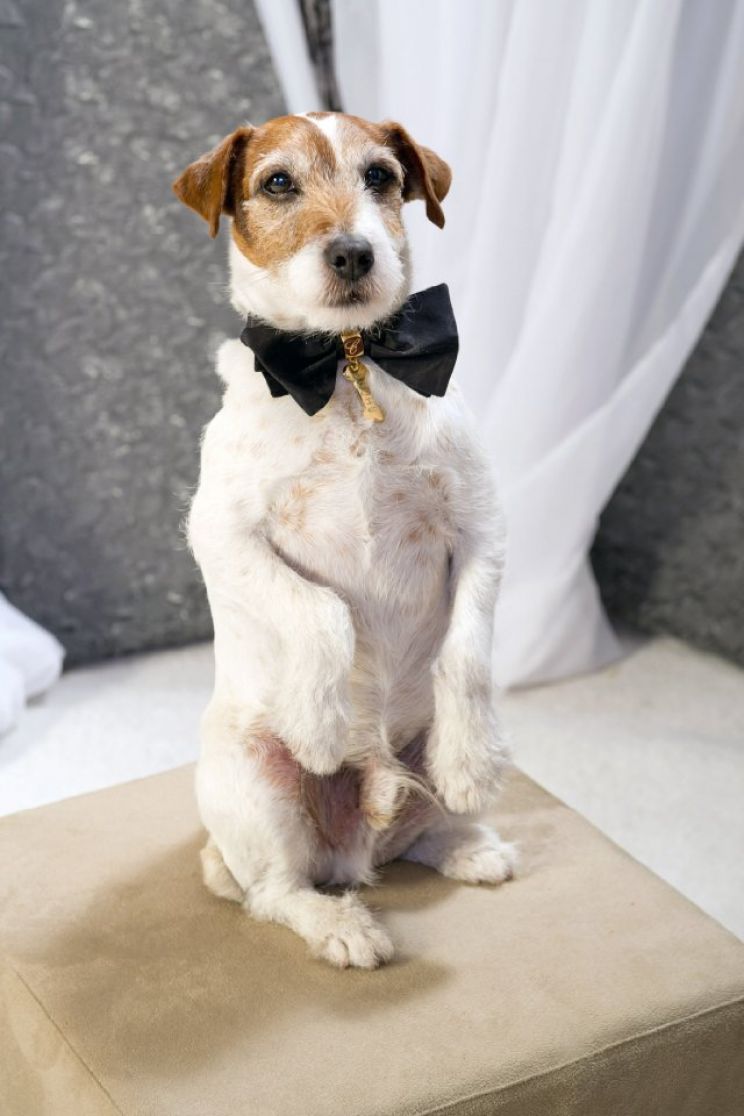 Uggie