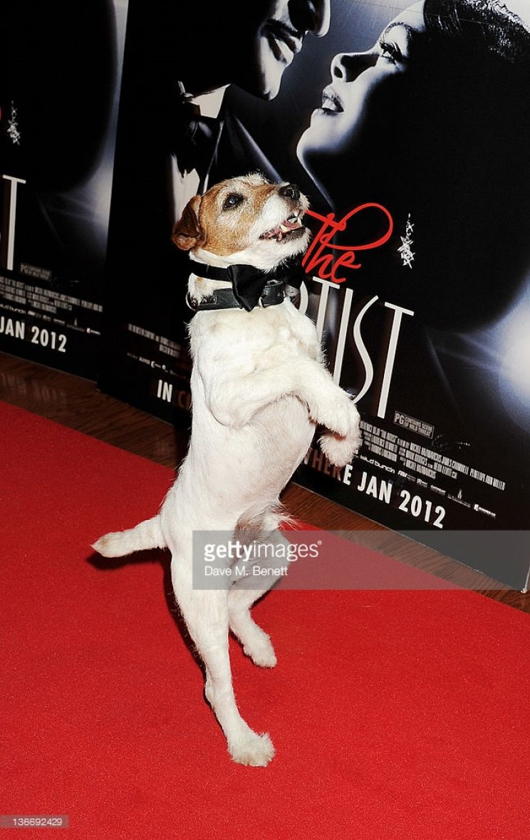 Uggie