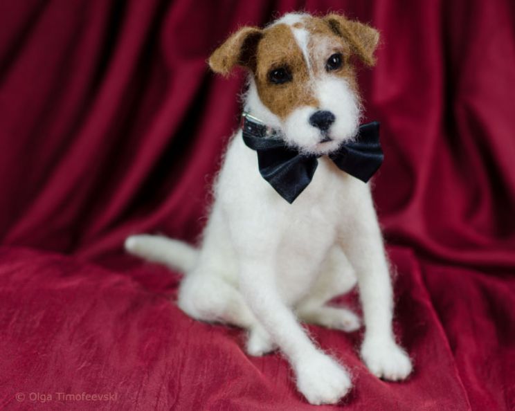 Uggie