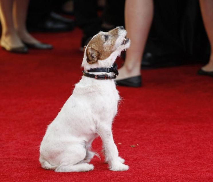 Uggie