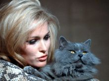 Ursula Andress