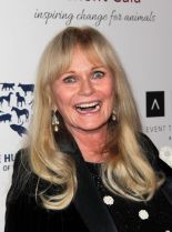 Valerie Perrine