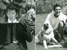 Van Williams