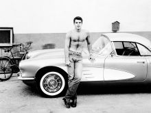Van Williams