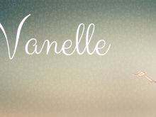 Vanelle