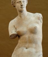 Venus DeMilo