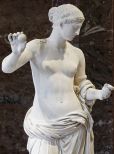 Venus DeMilo