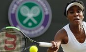 Venus Williams