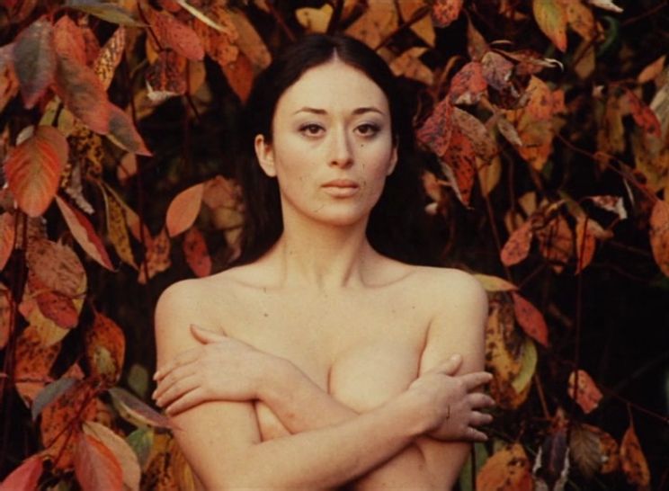 Vera Chytilová