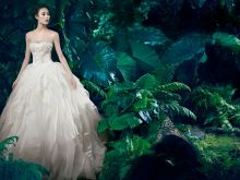 Vera Wang