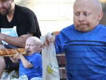 Verne Troyer