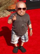 Verne Troyer