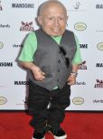 Verne Troyer